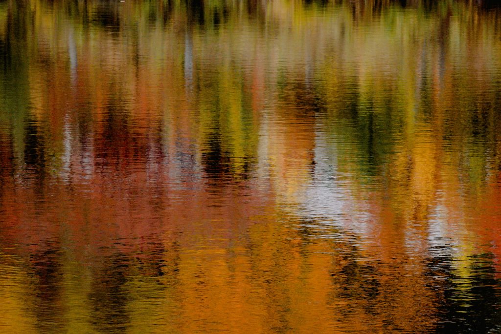 fall leaves reflected in lake water