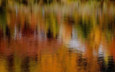 Have Fun in the Fall on Lake Lanier