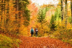 two girls walking in the forest in the italian alps