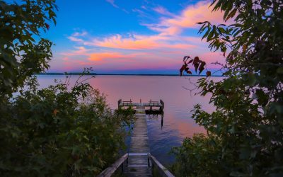 How to Hire A Lake Agent