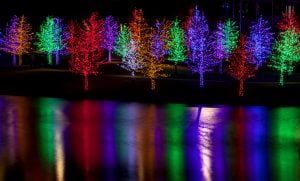 Christmas lights reflected in lake water