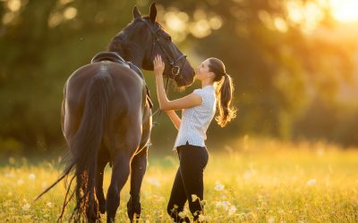 Featured Lux Home: An Equestrian Dream