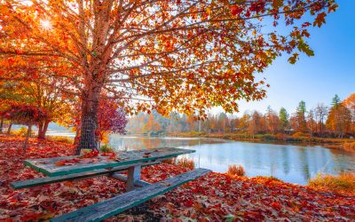 A 2020 Autumn on Lake Lanier